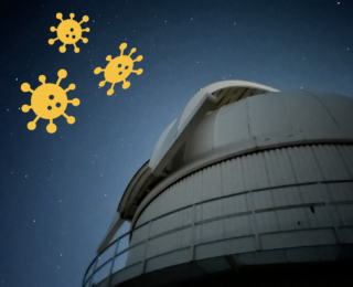 The Ultimate Duo: Astrophysics and…Slime Mold?